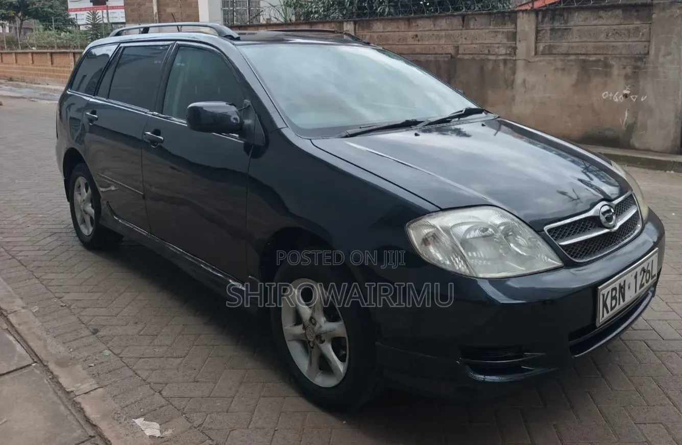 Toyota Corolla Fielder 2004 Matt Black