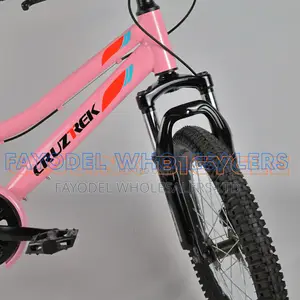 Cruz Trek Size 20 Kids Mountain Bike – Pink