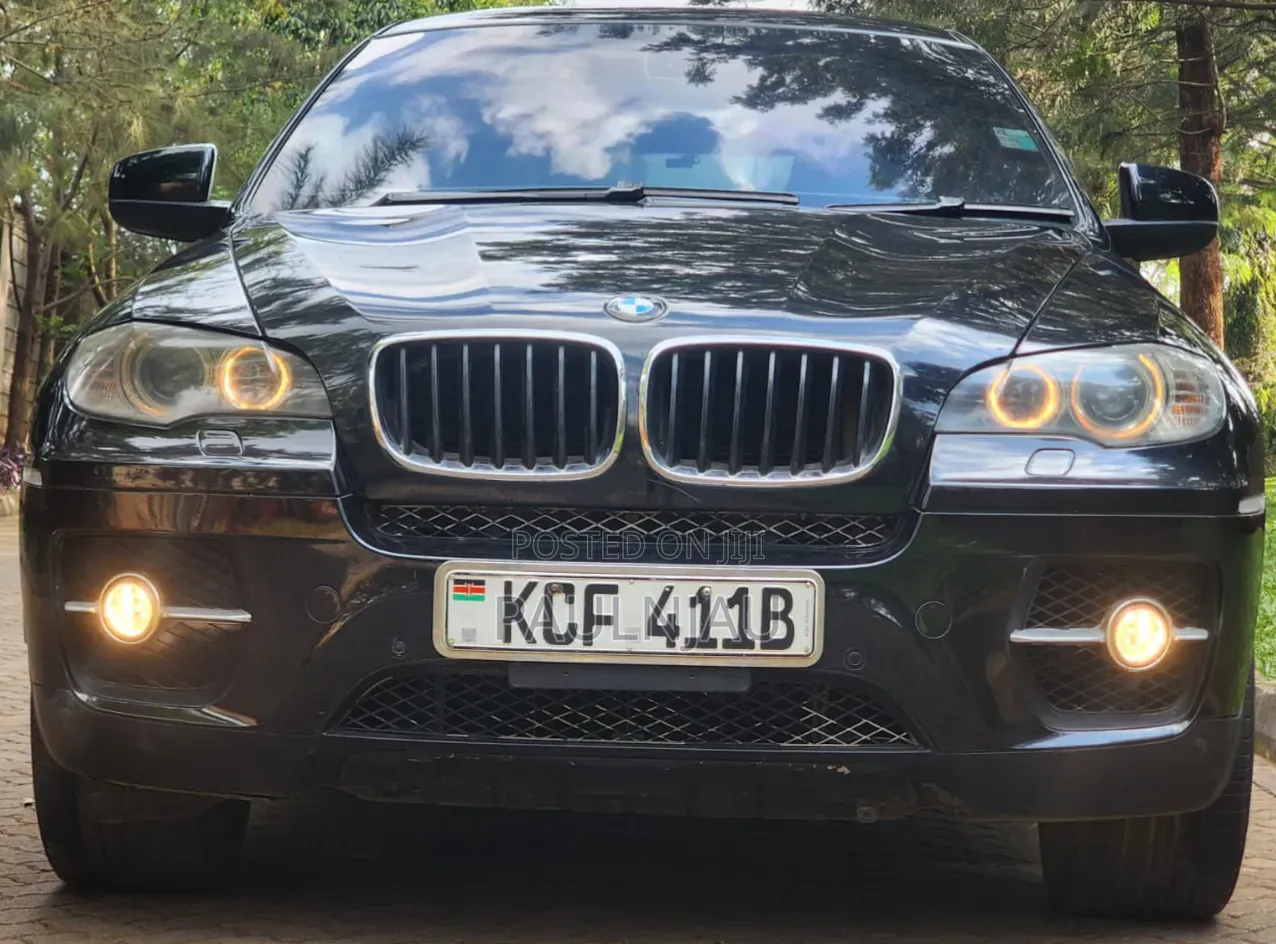 BMW X6 Sports Activity Coupe 2008