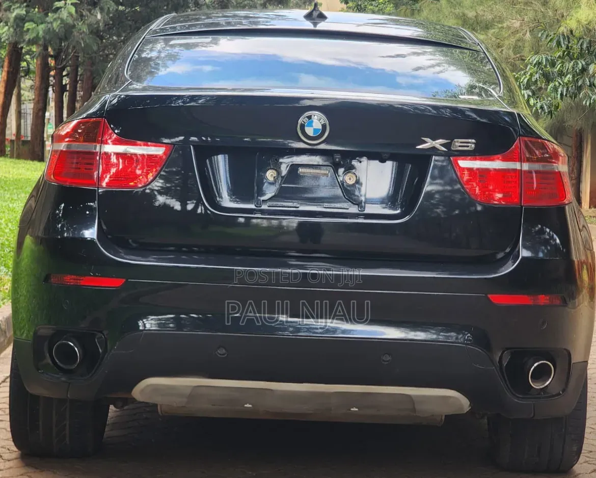 BMW X6 Sports Activity Coupe 2008