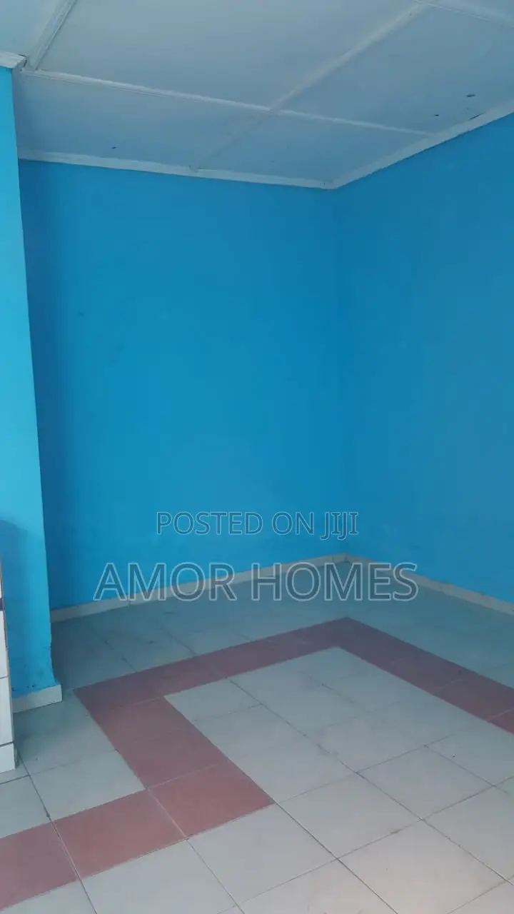 1bdrm Bedsitter in Barsheba, Mshomoroni for rent