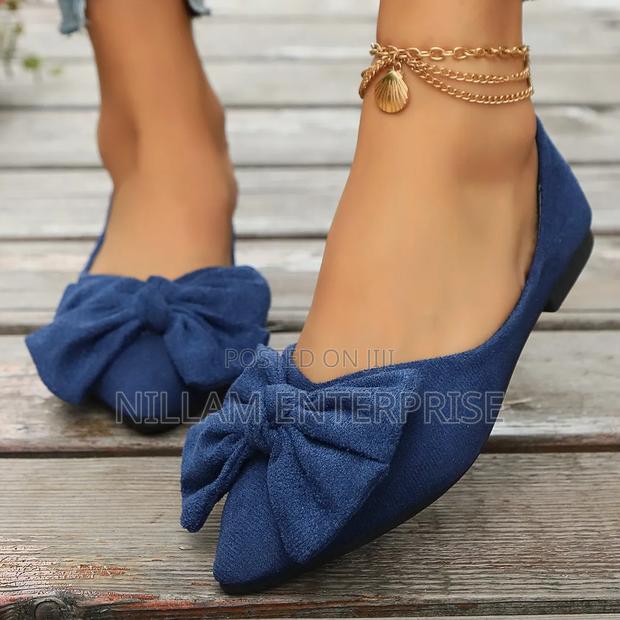 Flat Elegant Shoes