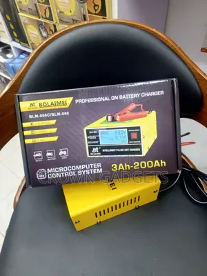 BLM-866 Intelligent Pulse Repair Charger for Agm Gel Battery