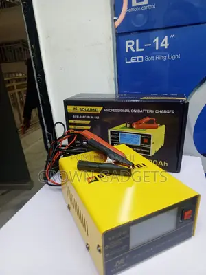 Bolaimei BLM-866 Automatic 12v 24v Battery Charger