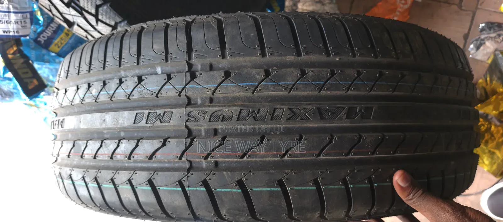 225/60r17 Maximus