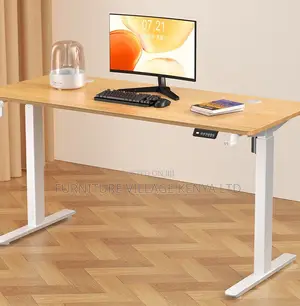 Ergonomic Electric Standing Desk