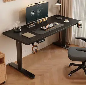 Ergonomic Electric Standing Desk