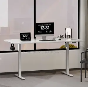Ergonomic Electric Standing Desk