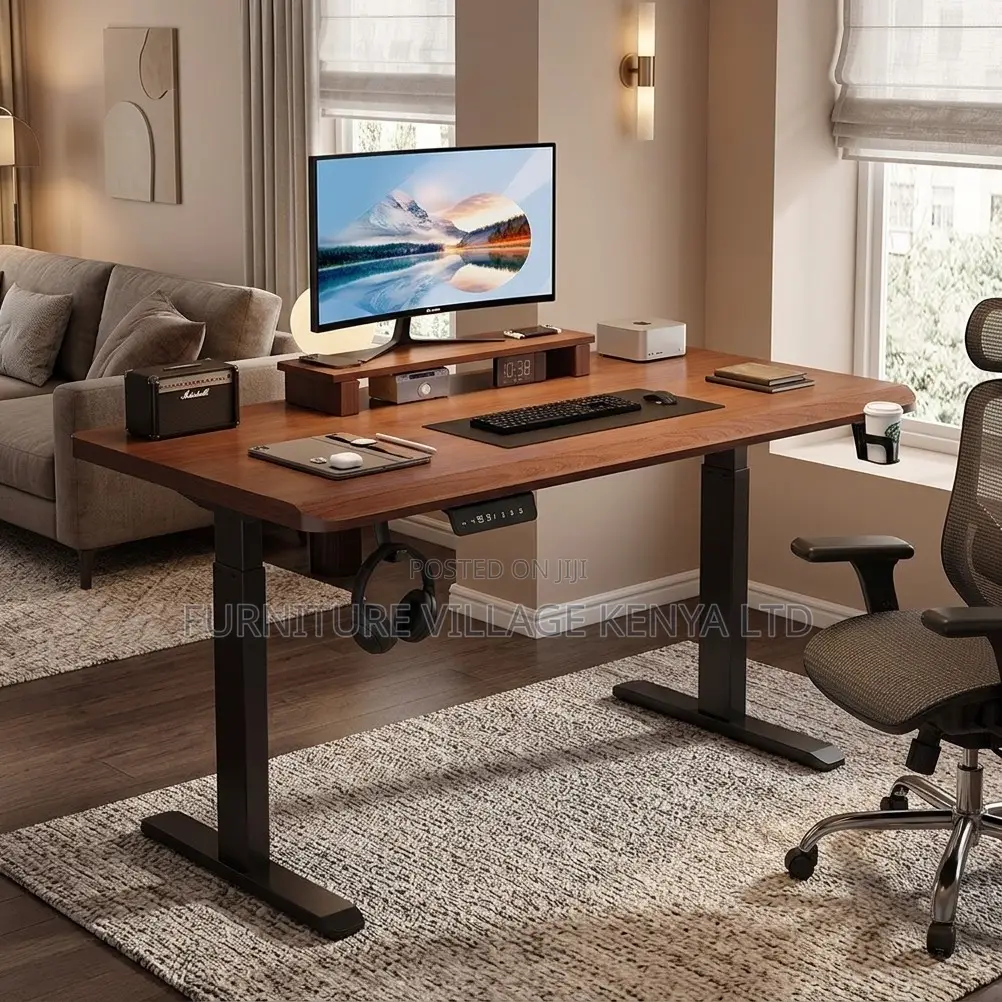 Ergonomic Electric Standing Desk