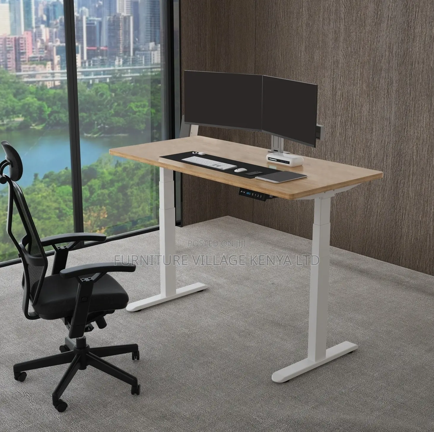Ergonomic Electric Standing Desk