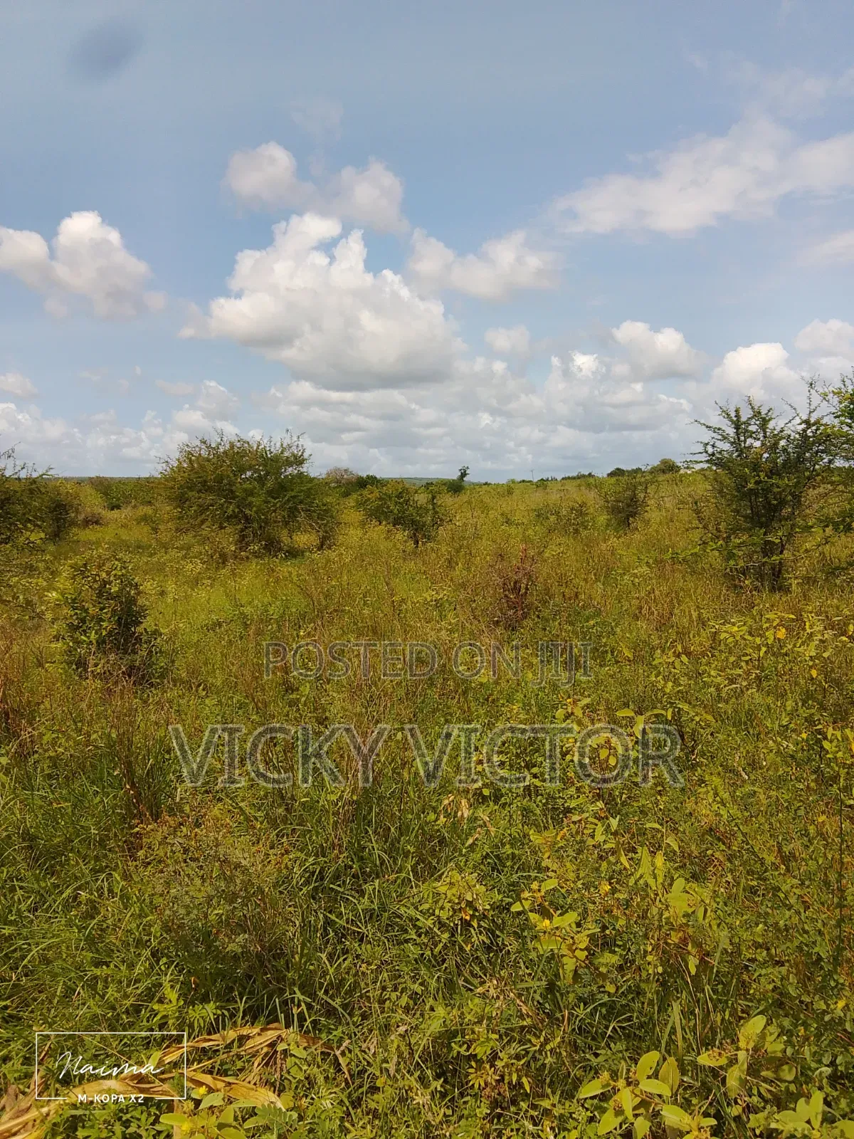 Nauza Shamba