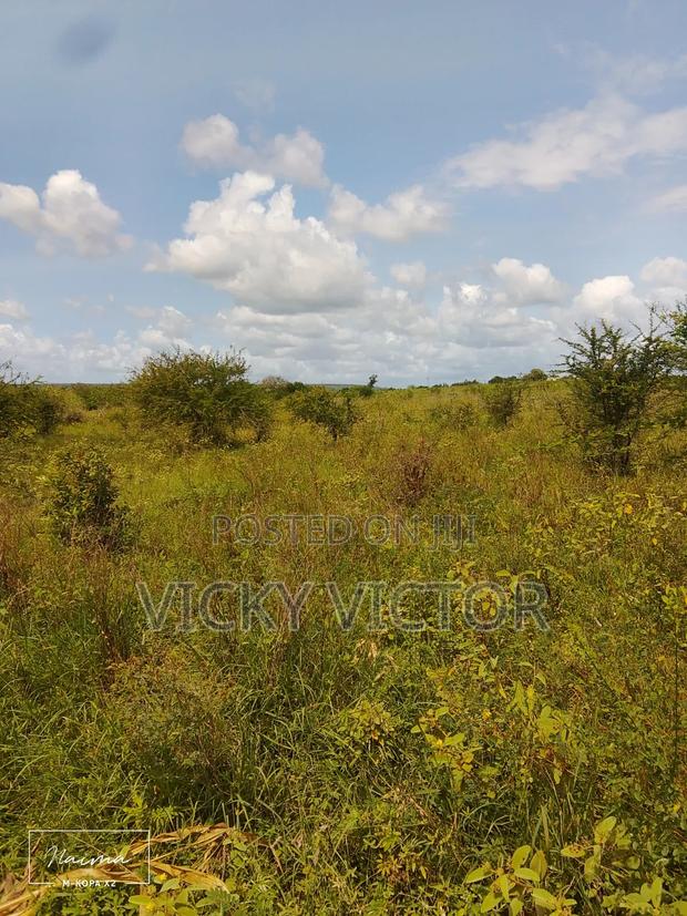 Nauza Shamba - thumbnail 2