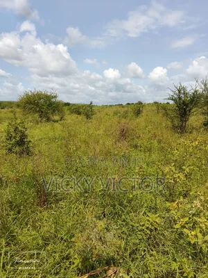 Nauza Shamba