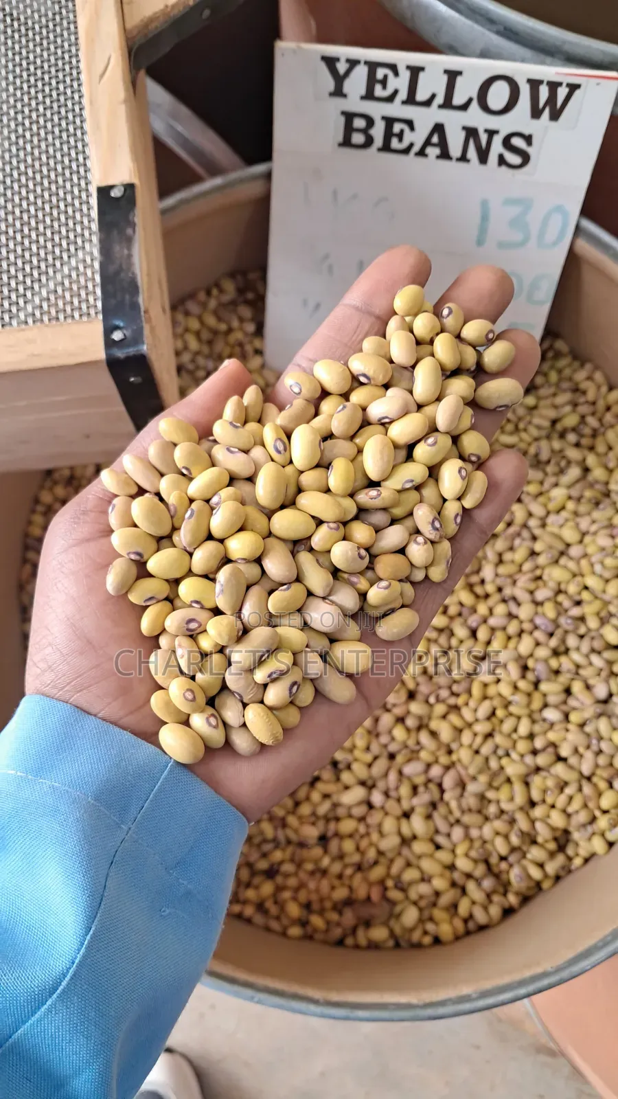 Well Dried Yellow Beans