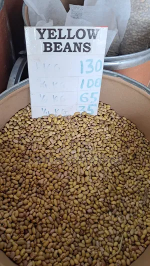 Well Dried Yellow Beans