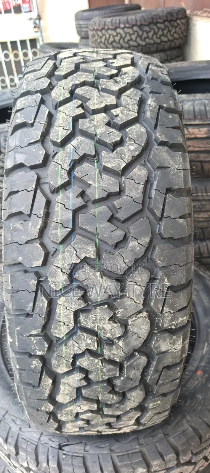 225/55r19 Comforser Cf1100