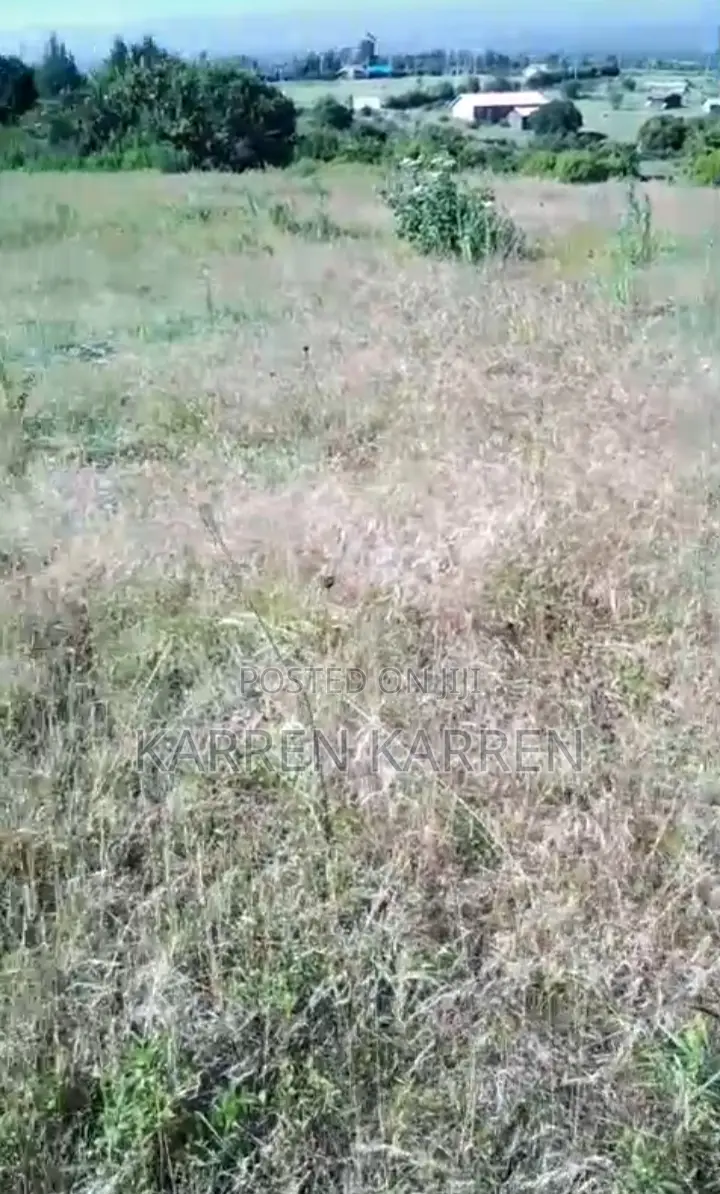 2.5 Acres For Sale – Gatarakwa, Kieni (Nyeri–Nyahururu Road)