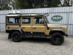 Land Rover Defender 1999 Brown