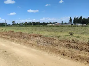 Prime Plots in Ilula Eldoret