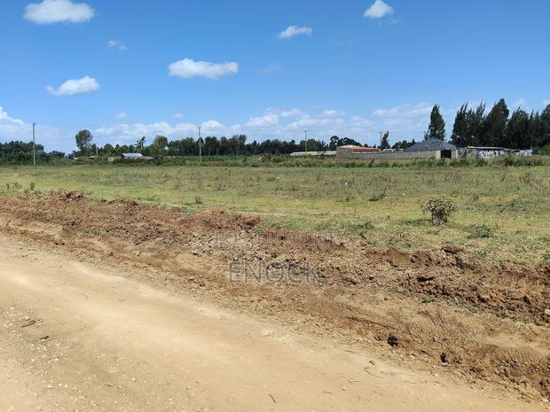 Prime Plots in Ilula Eldoret