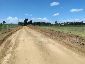Prime Plots in Ilula Eldoret