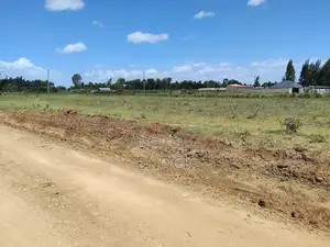 Prime Plots in Ilula Eldoret