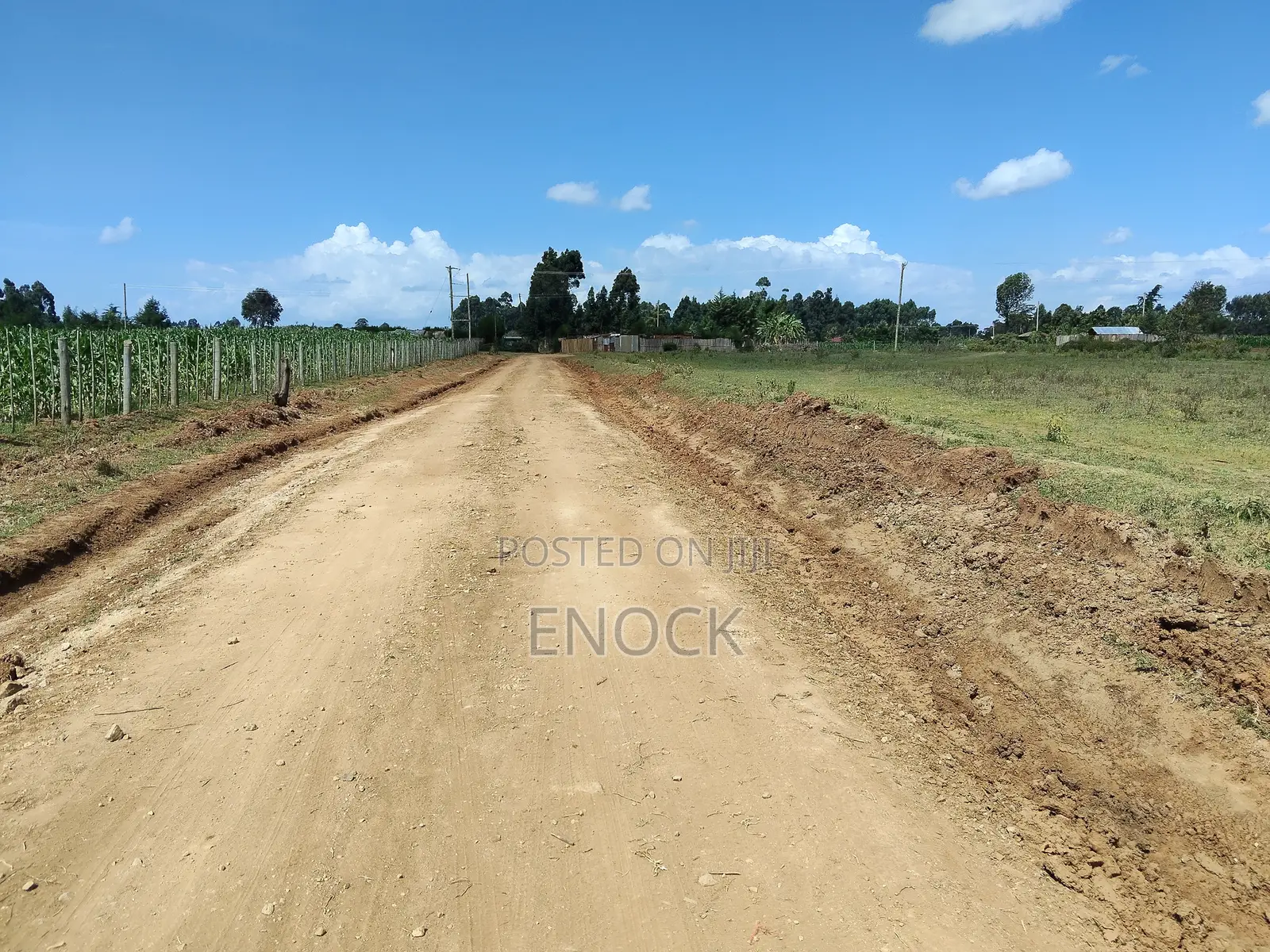 Prime Plots in Ilula Eldoret