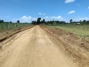 Prime Plots in Ilula Eldoret