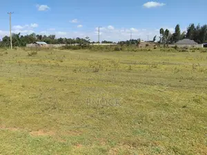 Prime Plots in Ilula Eldoret