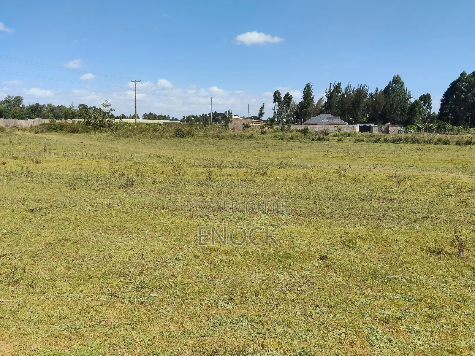 Prime Plots in Ilula Eldoret