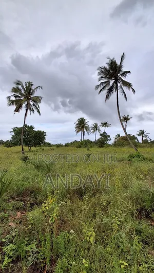 Dongo Kundu Bypass Prime Plots