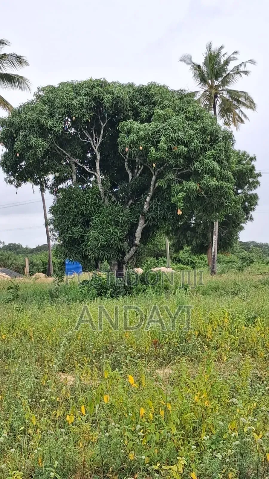 Dongo Kundu Bypass Prime Plots