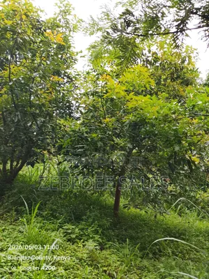 Land for Sale Joska Malaa Price 4.5m an Acre