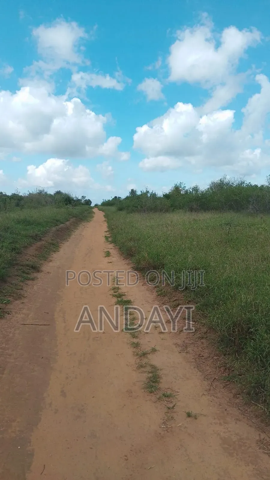 30 Acres Farmland For Sale