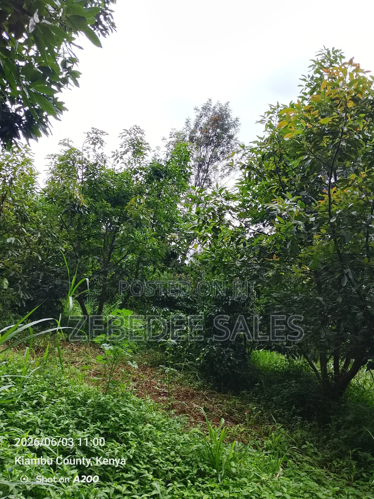 Land for Sale Joska Malaa Price 4.5m an Acre