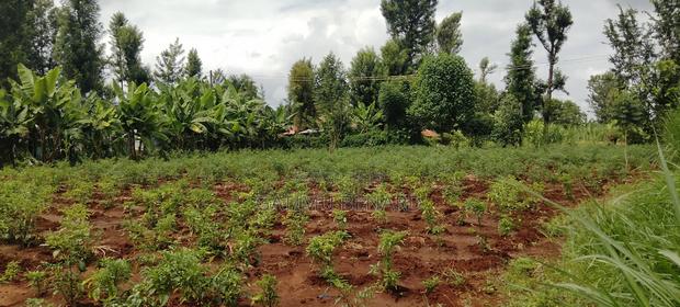 Half Acre for Sale in Kirinyaga Nyangati Near the Tarmac