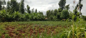 Half Acre for Sale in Kirinyaga Nyangati Near the Tarmac