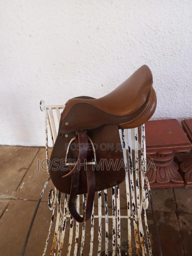 Saddles and Bridle and Other Horse Equipment