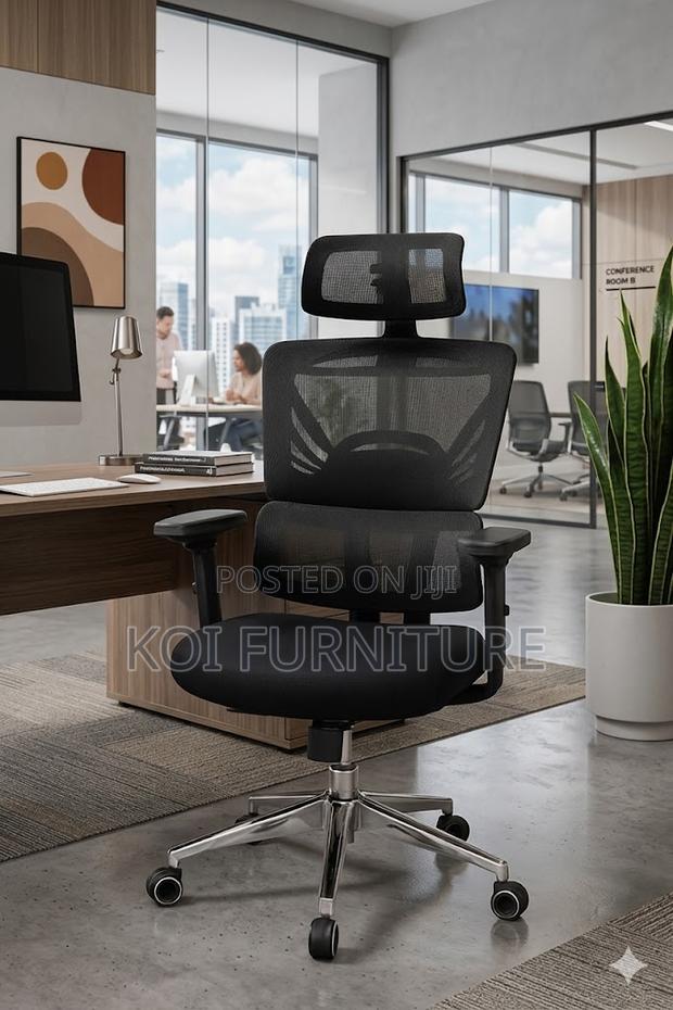 Office Chairs; Fabtic Orthopedic Offices Executive Chairs - main view