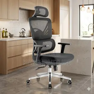 Office Chairs; Fabtic Orthopedic Offices Executive Chairs