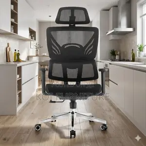 Office Chairs; Fabtic Orthopedic Offices Executive Chairs