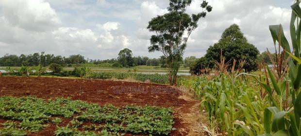 2 Acres on Sale in Kirinyaga Nyangati - thumbnail 3