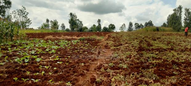 2 Acres on Sale in Kirinyaga Nyangati - thumbnail 5