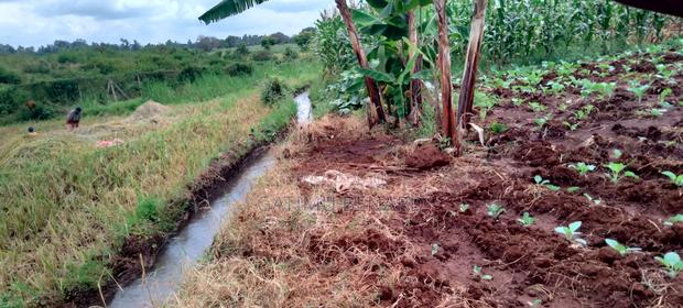 2 Acres on Sale in Kirinyaga Nyangati - thumbnail 6