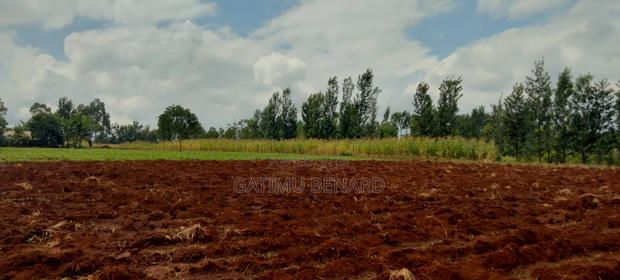 2 Acres on Sale in Kirinyaga Nyangati - thumbnail 7