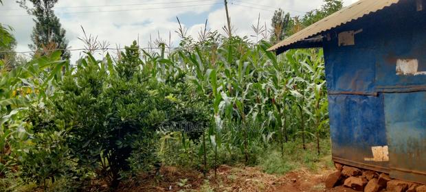 2 Acres on Sale in Kirinyaga Nyangati - thumbnail 8