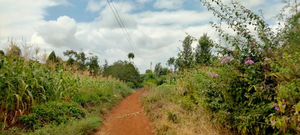 2 Acres on Sale in Kirinyaga Nyangati - thumbnail 9