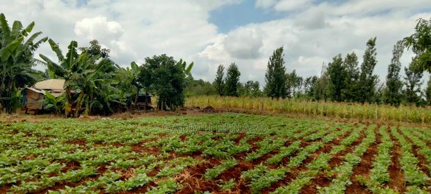 2 Acres on Sale in Kirinyaga Nyangati - thumbnail 10