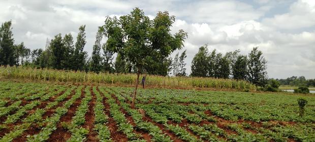 2 Acres on Sale in Kirinyaga Nyangati - thumbnail 11