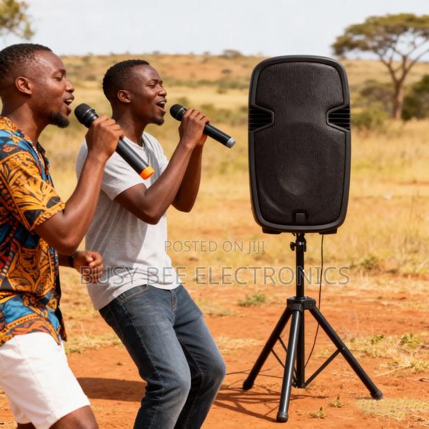 Aone 15" Box Powered Box Speakers - thumbnail 3